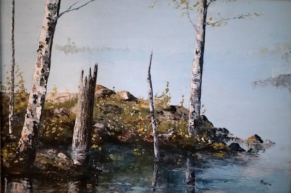 Birch Grove Solitude