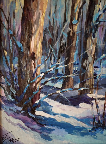 Where the Forest Sleeps