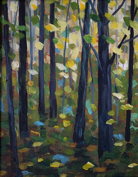 Woodland Reflection